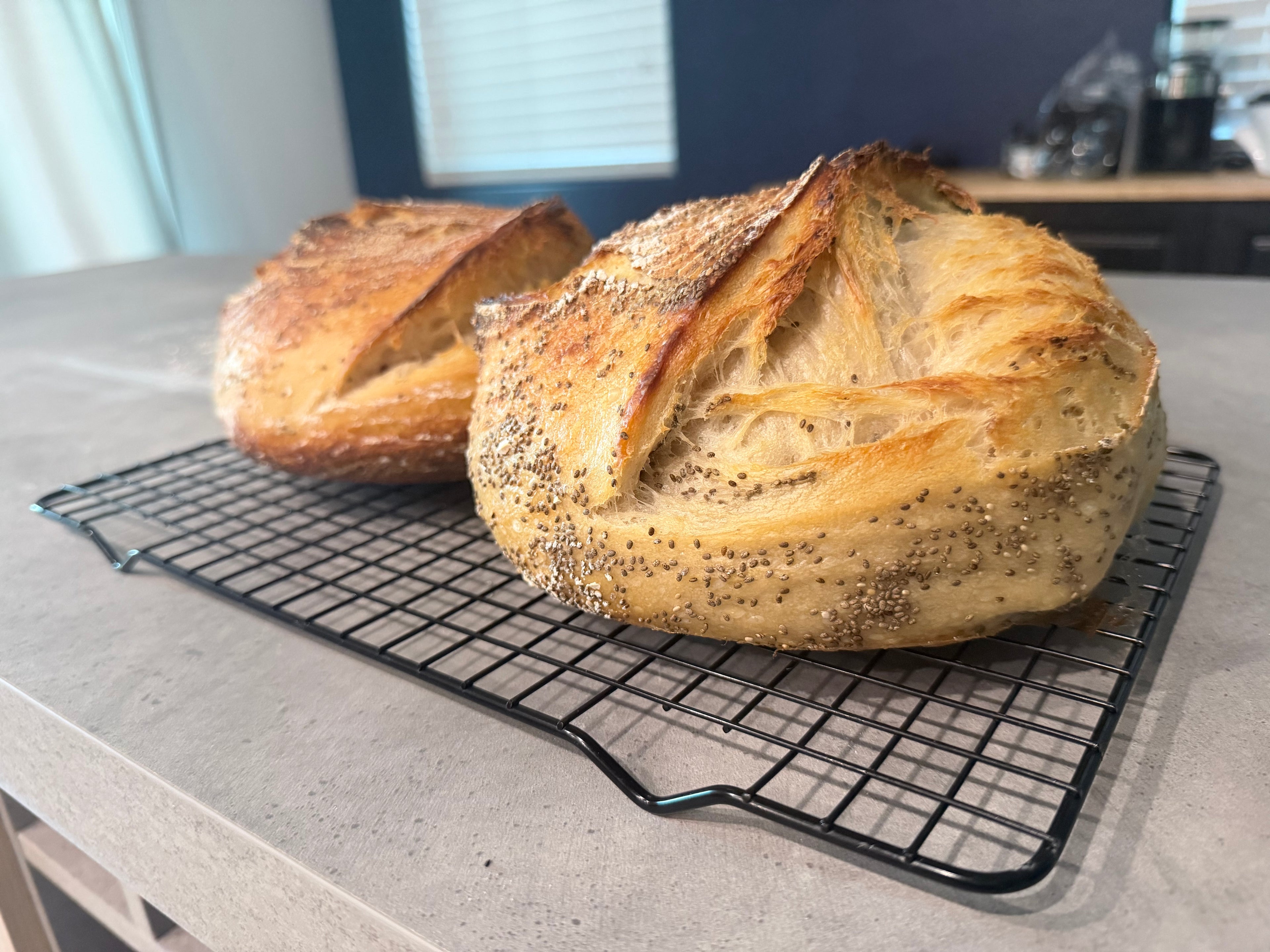 Sourdough Boules with Inclusions