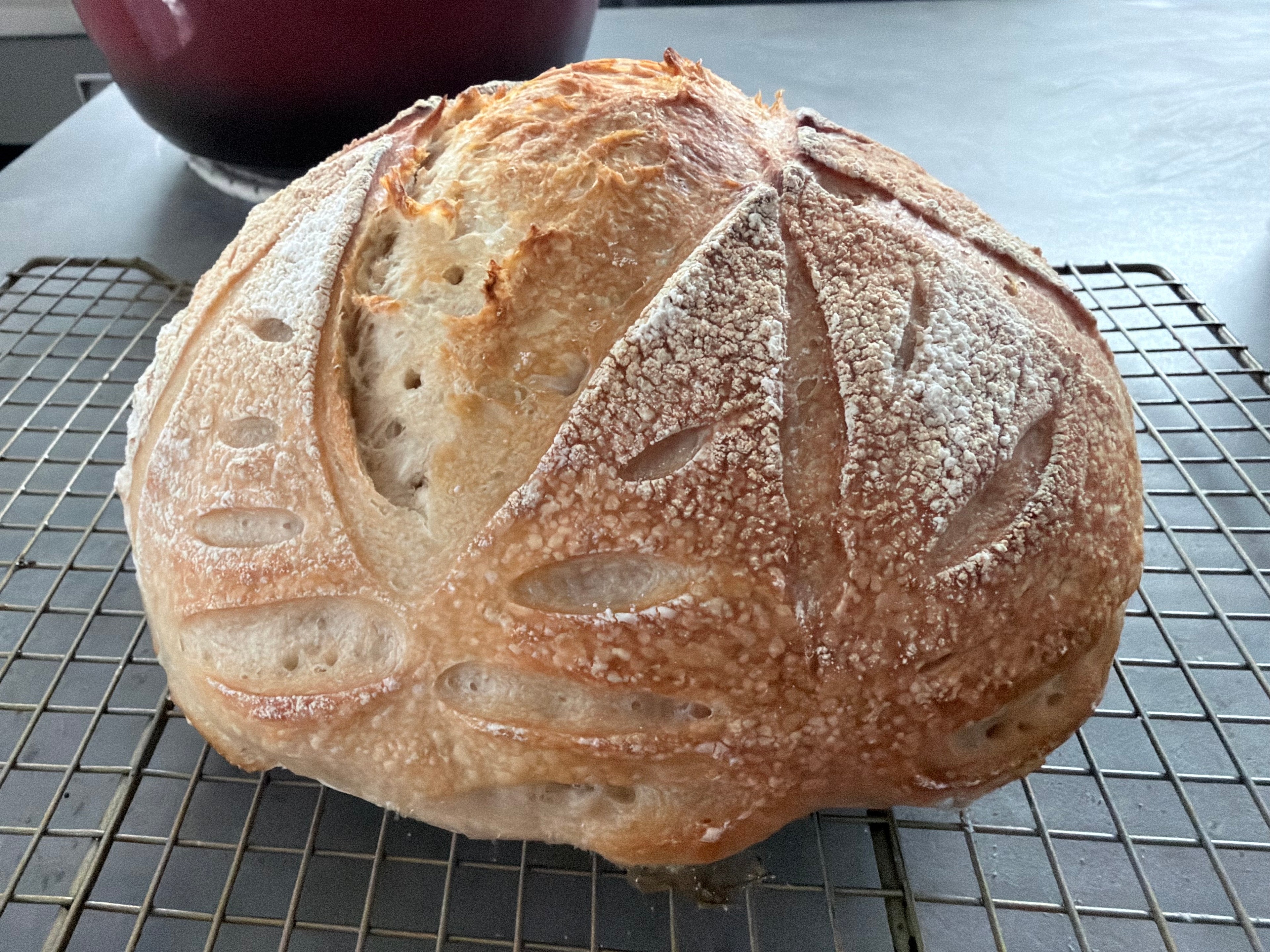 Classic Sourdough Boules