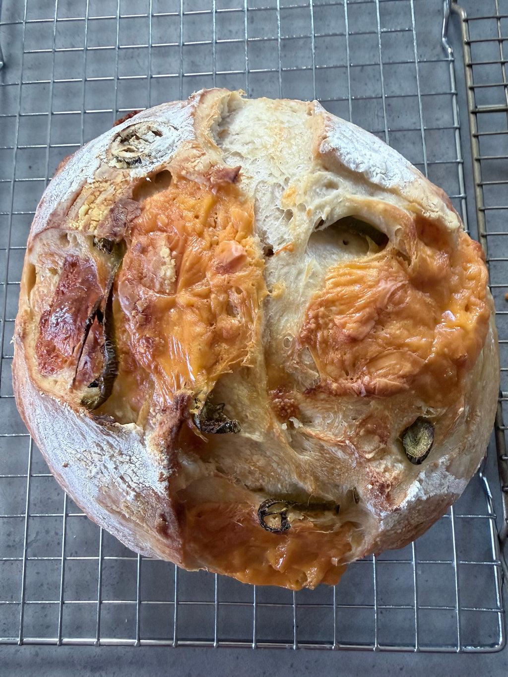 Sourdough Boules with Inclusions