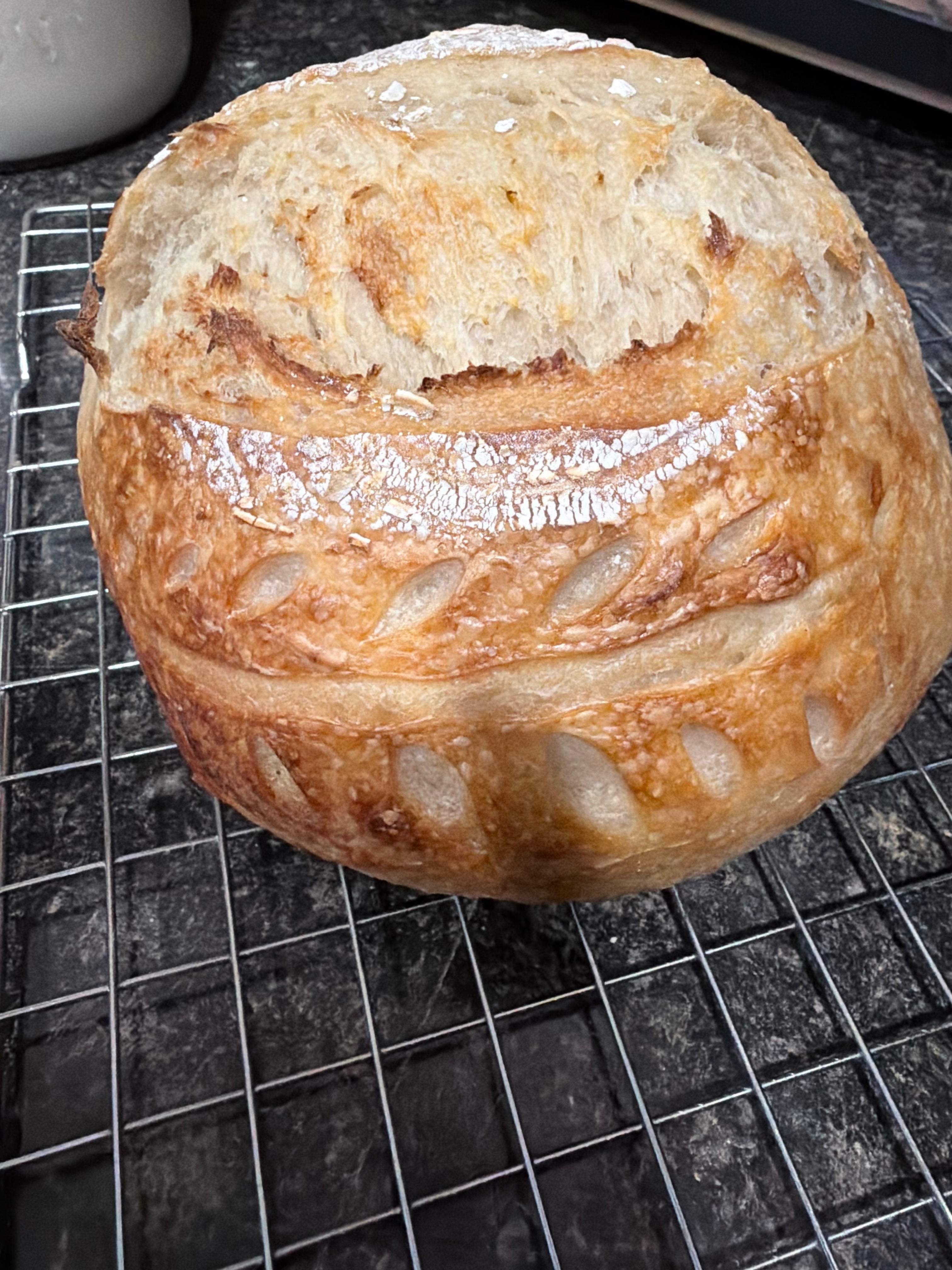 Classic Sourdough Boules