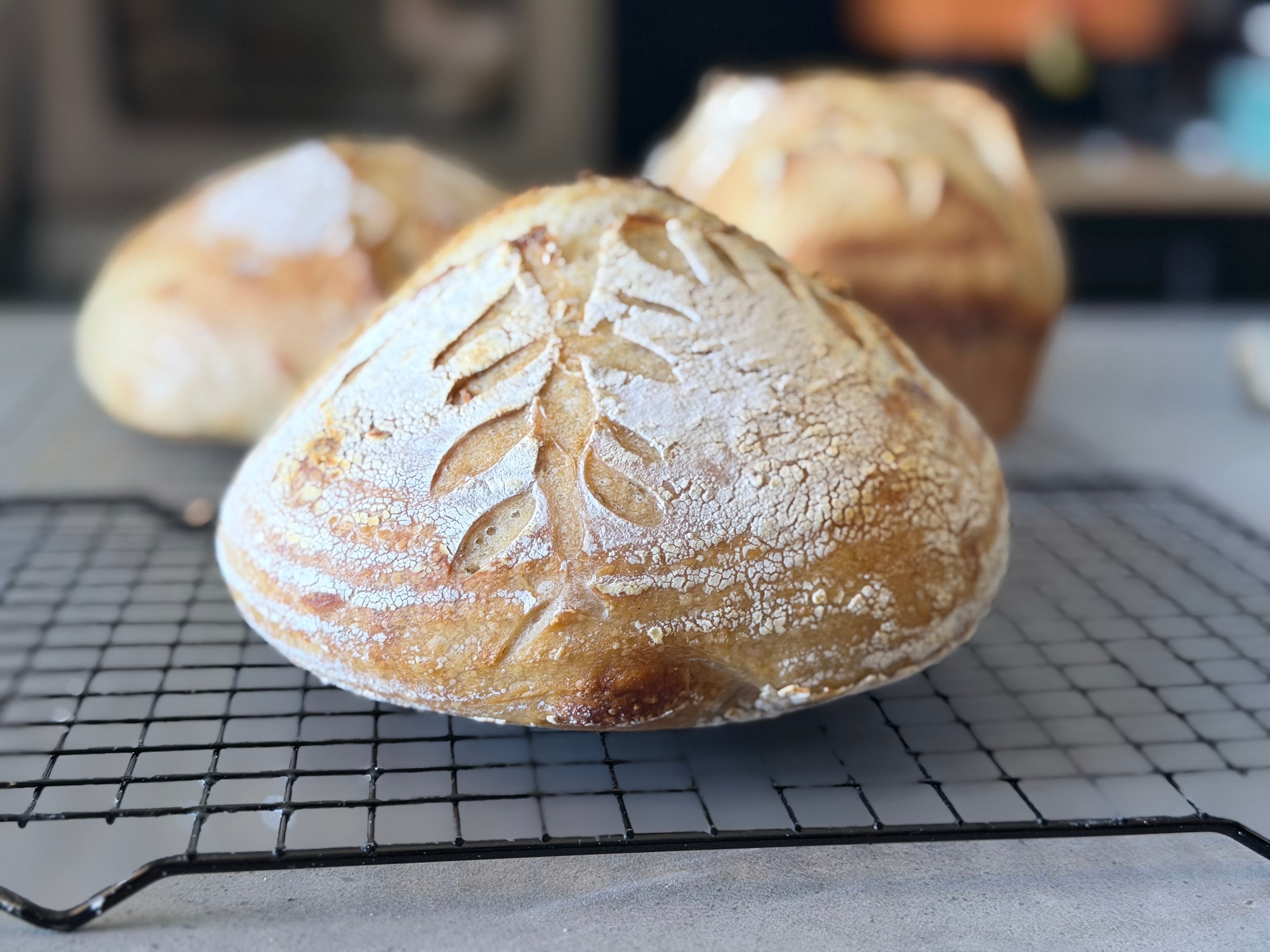 Classic Sourdough Boules