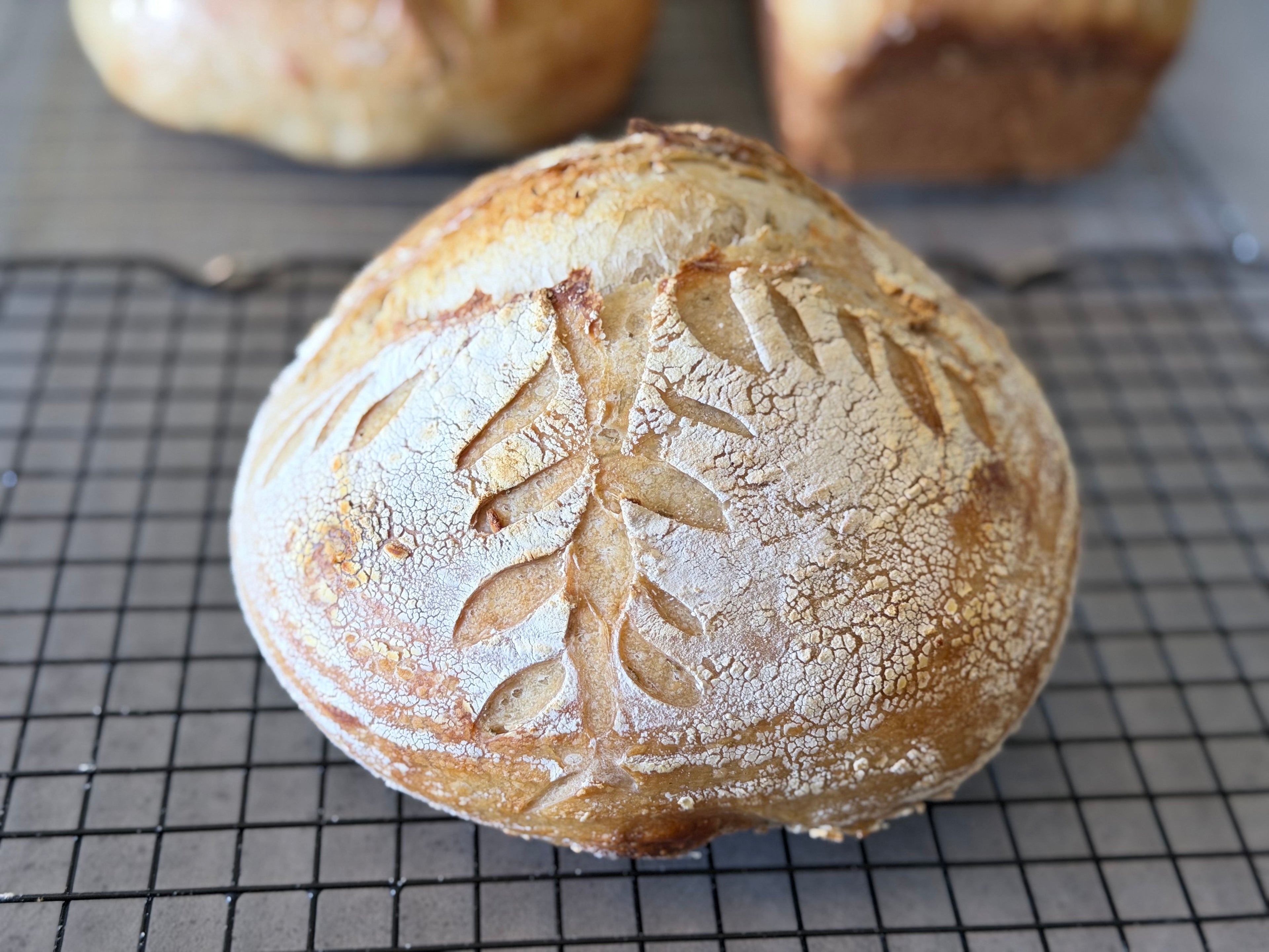 Classic Sourdough Boules