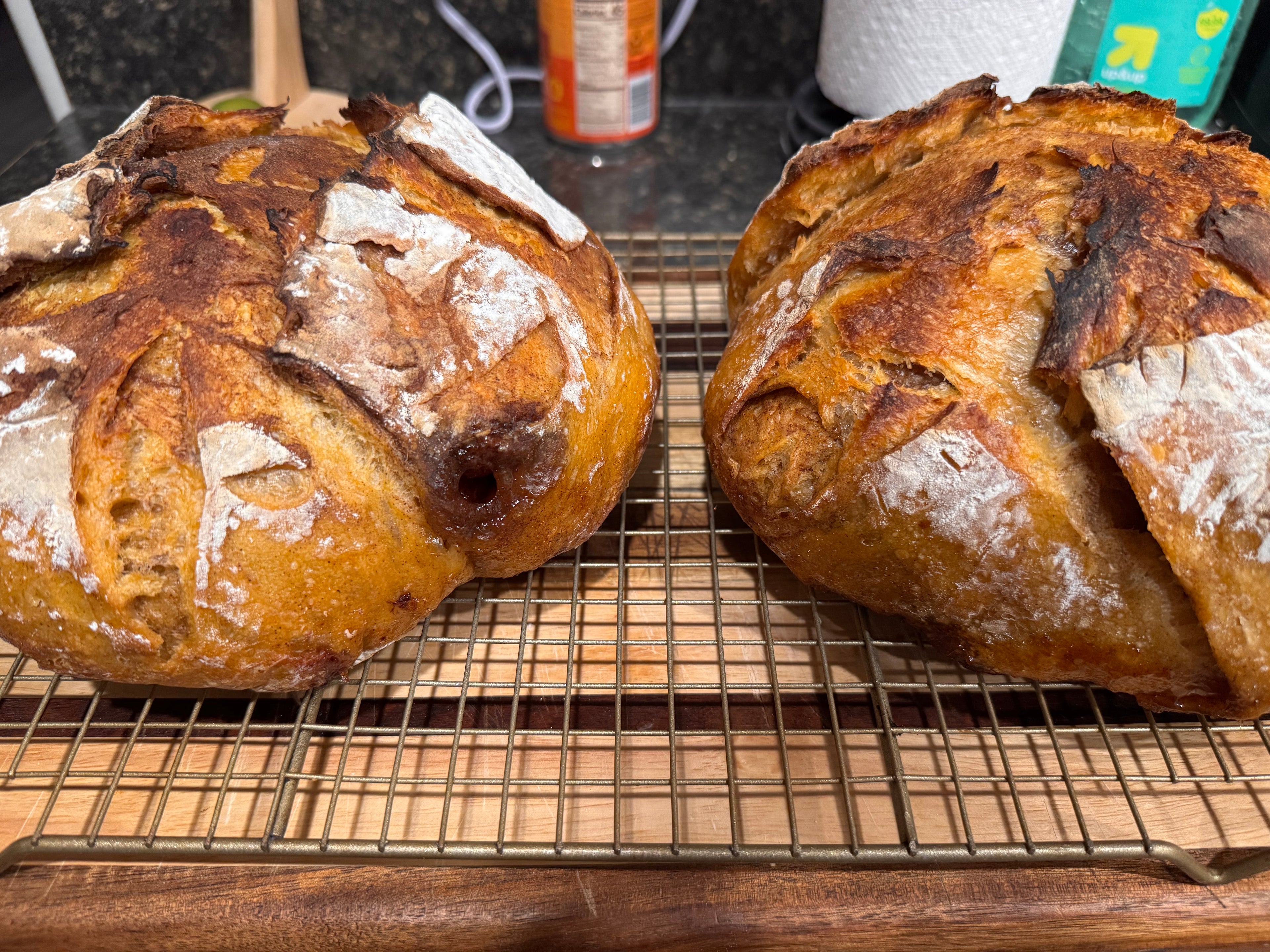 Sourdough Boules with Inclusions